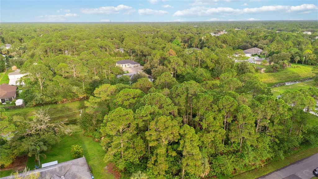 Photo of 2761 Foxglove Avenue SW, Palm Bay, FL 32908 (MLS # O6377881)