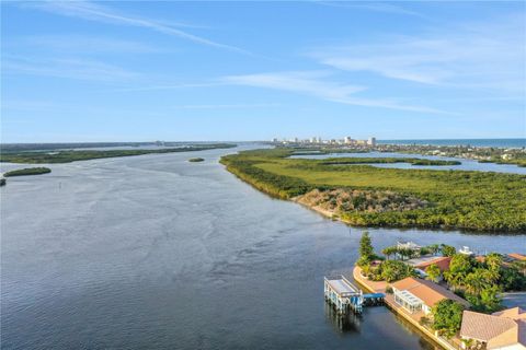 A home in PONCE INLET