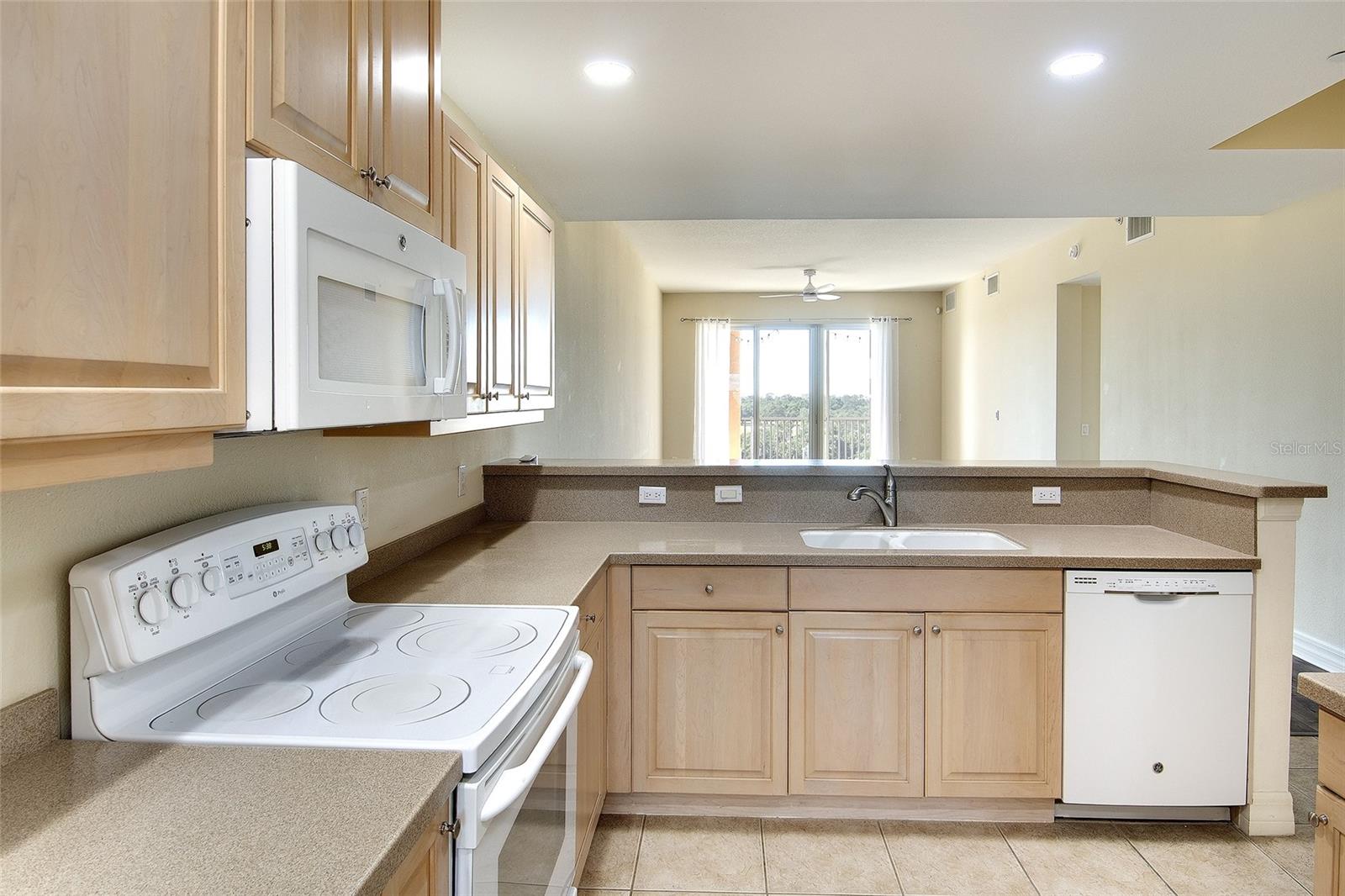 1921 MONTE CARLO DRIVE 603