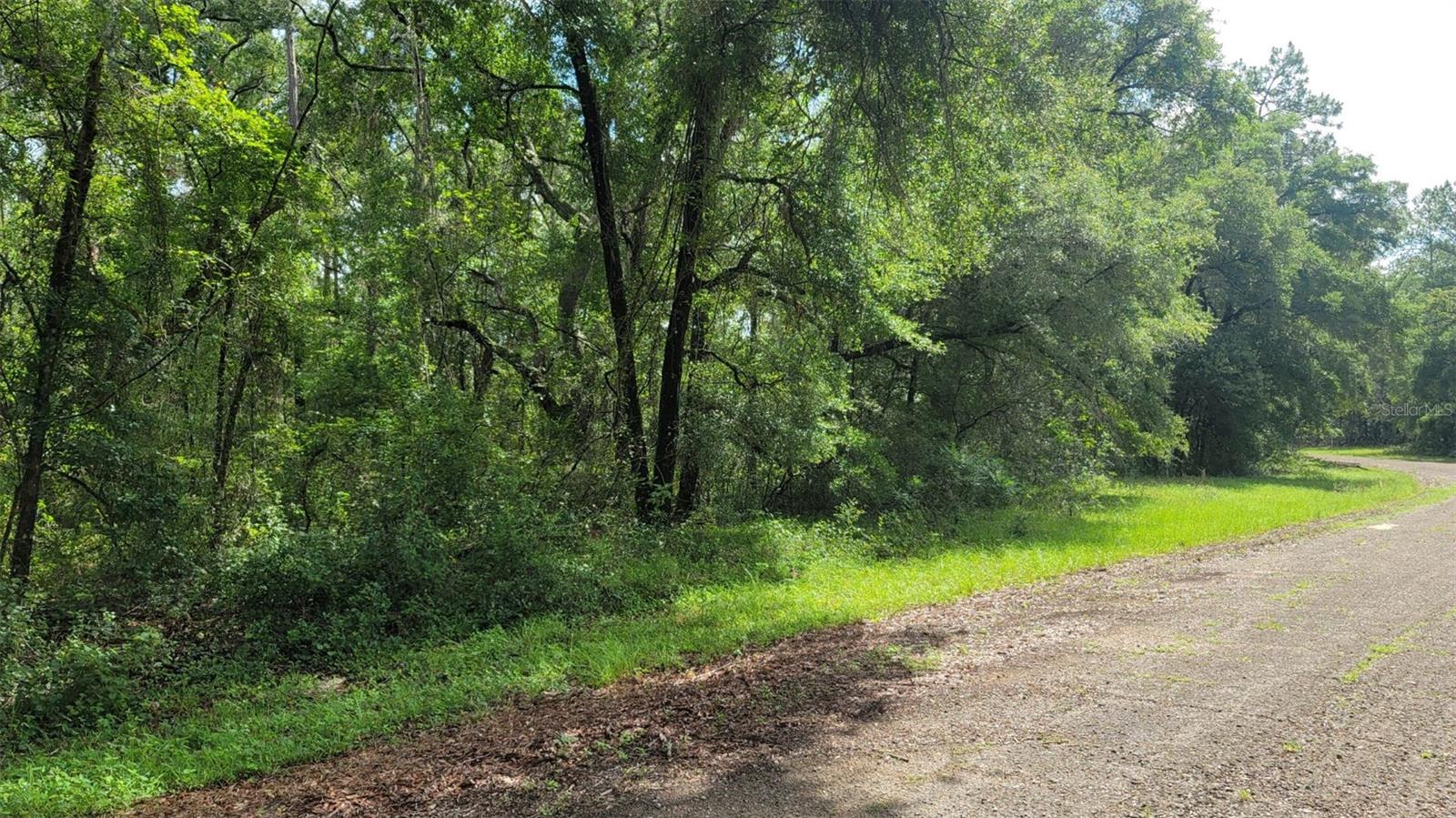 *GREAT OPPORTUNITY TO BUILD YOUR DREAM HOME IN CITRUS SPRING/DUNNELLON NEAR CRYSTAL RIVER PARADISE!* This 0.22-acre VACANT RESIDENTIAL LOT in CITRUS SPRING offers an EXCEPTIONAL OPPORTUNITY TO CREATE YOUR IDEAL LIVING SPACE! Perfectly situated for BUILDING A CUSTOM HOME, this SPACIOUS PROPERTY measures 78 feet front by 121 feet right by 80 feet back by 123 feet left, providing a generous 9,573 sq ft OF LAND TO BRING YOUR VISION TO LIFE! The lot is RECTANGULAR and once CLEARED, it is READY FOR CONSTRUCTION: design a home with plenty of room for both INDOOR and OUTDOOR LIVING! Imagine waking up in your new home and stepping outside to enjoy the Florida sunshine and refreshing breezes. With ample space, you could create an outdoor paradise - whether it's a POOL, a GARDEN, or a BEAUTIFUL PATIO for ENTERTAINING FAMILY and FRIENDS. This EXCEPTIONAL RESIDENTIAL VACANT LOT offers a highly NORTH REAR EXPOSURE with ample natural light throughout the day, ideal for energy-efficient home designs and maximizing outdoor living potential for YOUR FUTURE HOME. Whether you're looking to BUILD A CONTEMPORARY DESIGN with EXPANSIVE WINDOWS or create a LUSH GARDEN OASIS, this LOT'S ORIENTATION offers both PRACTICAL and AESTHETIC ADVANTAGES, making it the IDEAL CANVAS for your DREAM PROPERTY! Located close to STATE ROAD 41, this lot provides EASY ACCESS to nearby amenities, schools, and recreational areas! It’s also in an ideal position for exploring Florida’s natural beauty and outdoor activities! This lot is situated in ZONE X, meaning NO FLOOD INSURANCE is required upon construction. Citrus Springs and the surrounding area offers a wide range of activities for all interests. Outdoor enthusiasts can explore the scenic WITHLACOOCHEE STATE TRAIL, perfect for biking, walking, or jogging through lush Florida landscapes. Just a short drive away, you can KAYAK or PADDLEBOARD along the CRYSTAL RIVER, famous for its clear springs and gentle manatees, especially in the cooler months. Golf lovers will enjoy the CITRUS SPRINGS GOLD & COUNTRY CLUD, while those seeking relaxation can find peaceful spots for birdwatching or fishing at nearby lakes and rivers. For family-friendly fun, RAINBOW SPRINGS STATE PARK offers swimming, tubing, and beautiful waterfall views. Art and culture buffs can visit local galleries in DUNNELLON or catch live performances at the CITRUS COUNTY AUDITORIUM. Whether you're into nature, water sports, golf, or small-town charm, CITRUS SPRINGS provides something for everyone to enjoy year-round. The location is also HIGHLY ACCESSIBLE, with connections to I-75, making travel easy whether you're heading NORTH toward Ocala, Gainesville, and Jacksonville, or SOUTH to Clearwater, St. Petersburg, Tampa, Bradenton, and Sarasota. ORLANDO or JACKSONVILLE INTERNATIONAL AIRPORT is just 75 miles away, adding to the CONVENIENCE. DON'T MISS THIS CHANCE TO SECURE A VALUABLE PIECE OF LAND IN A PRIME LOCATION! WHETHER YOU ARE LOOKING TO BUILD A FOREVER HOME OR MAKE AN INVESTMENT FOR THE FUTURE, this lot offers THE PERFECT OPPORTUNITY FOR YOUR NEXT PROJECT! ACT NOW AND TURN YOUR DREAM INTO REALITY!!
