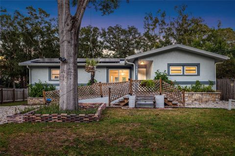 3087 DUANE AVENUE OLDSMAR FL 34677