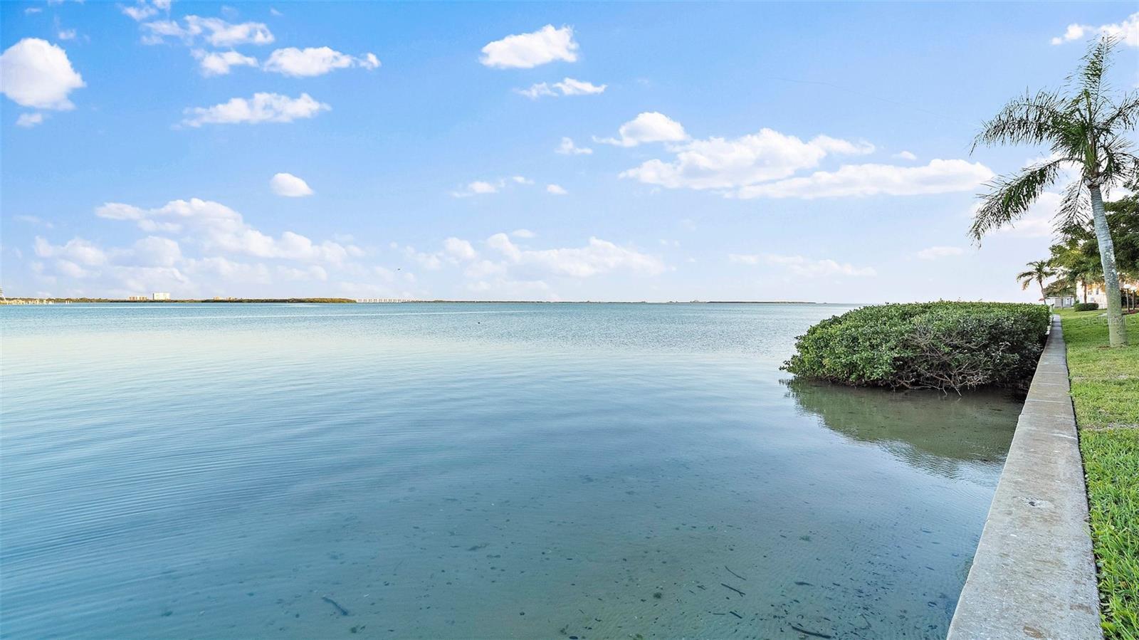 PALMA DEL MAR V - Residential