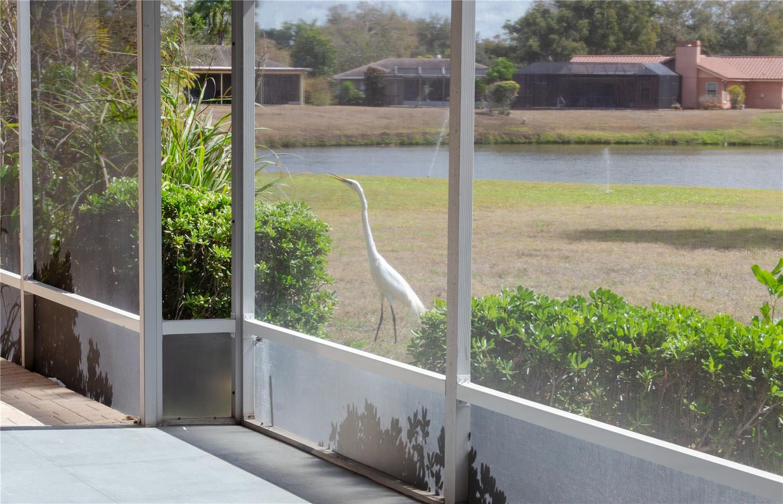 TAMARON - Residential Lease