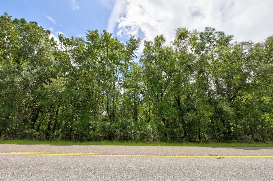 Homesite almost an acre less than 16 miles from Orlando International Airport.
