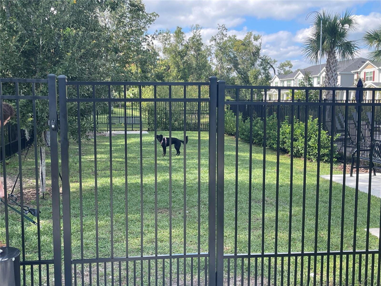 HICKORY GROVE - Residential Lease