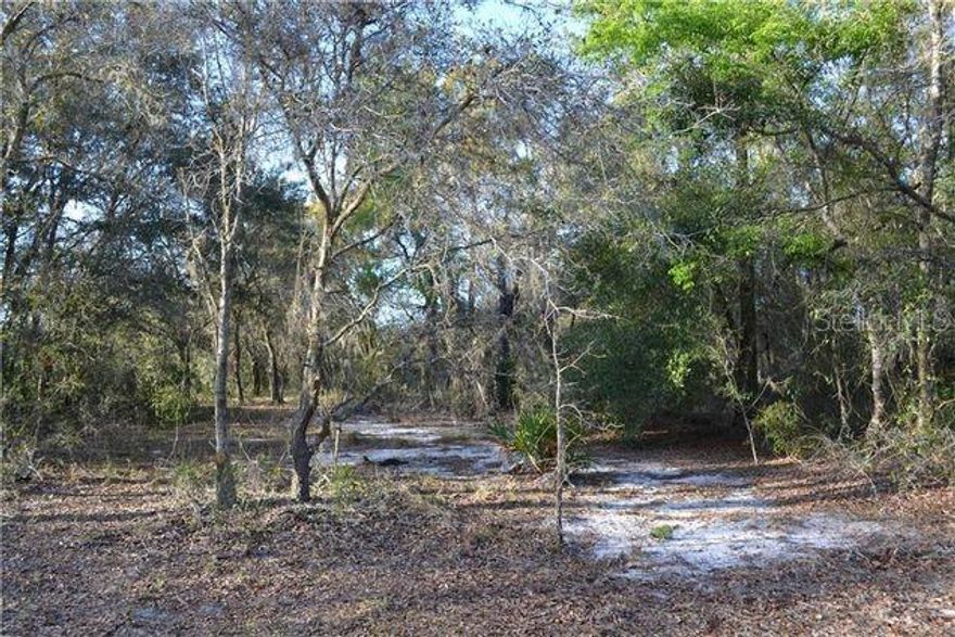 Double lot located in a peaceful clothing optional Naturist Park.  .36 Acre Looking for a double lot to build your dream home on? This .36 acre parcel located in rural, secluded Florida Naturist Park is your lot! well and septic needed. Centrally located in Hudson, you're only minutes from beaches, amazing restaurants and shopping. This lot is only a short drive from some of the best hunting, fishing and scalloping in the state and all that makes Pasco County a wonderful place to live and work. Please enjoy the clubhouse, beach area, amenities.