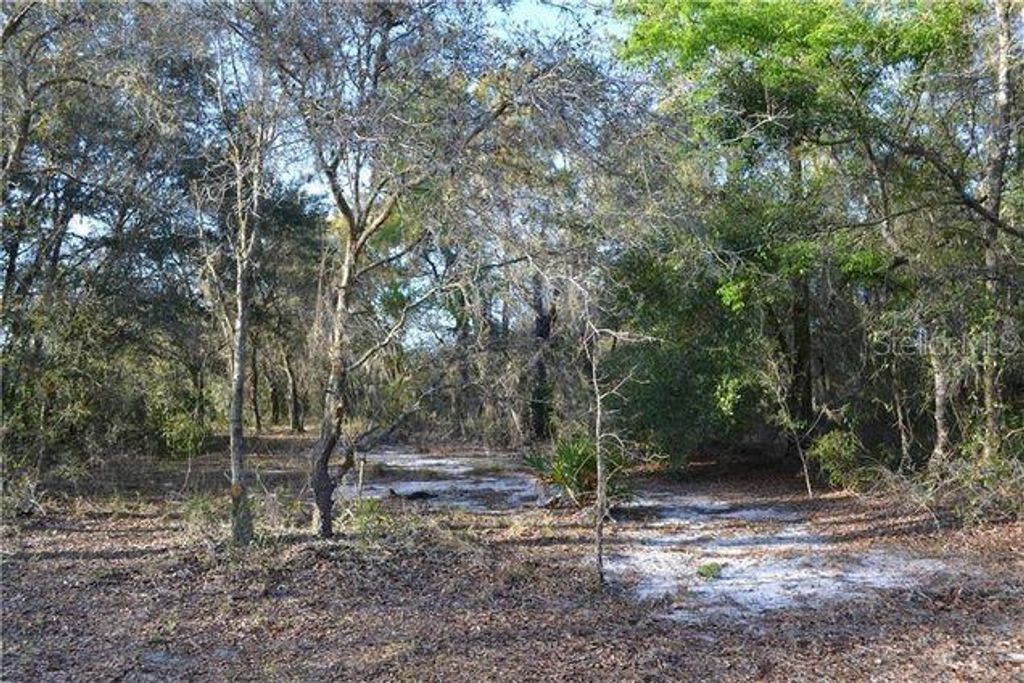 Photo of Grandville, Hudson, FL 34669 (MLS # A4693025)