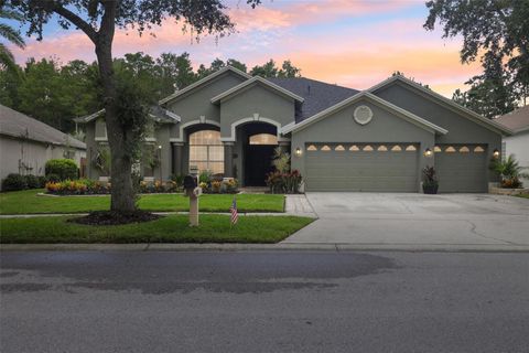 Photo of 19410 French Lace Drive, Lutz, FL 33558 (MLS # TB8405505)