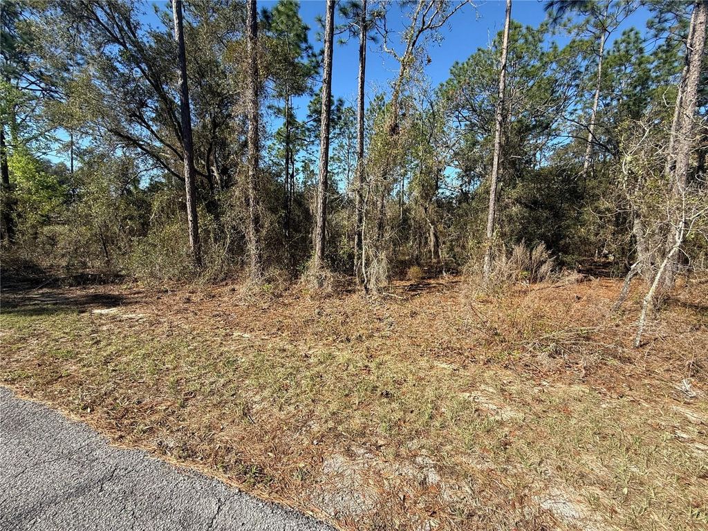Photo of 13 SE 129 Court, Dunnellon, FL 34431 (MLS # TB8483901)