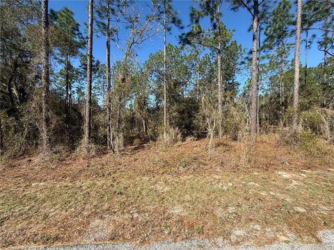 Lot 13 SE 129 COURT DUNNELLON FL 34431