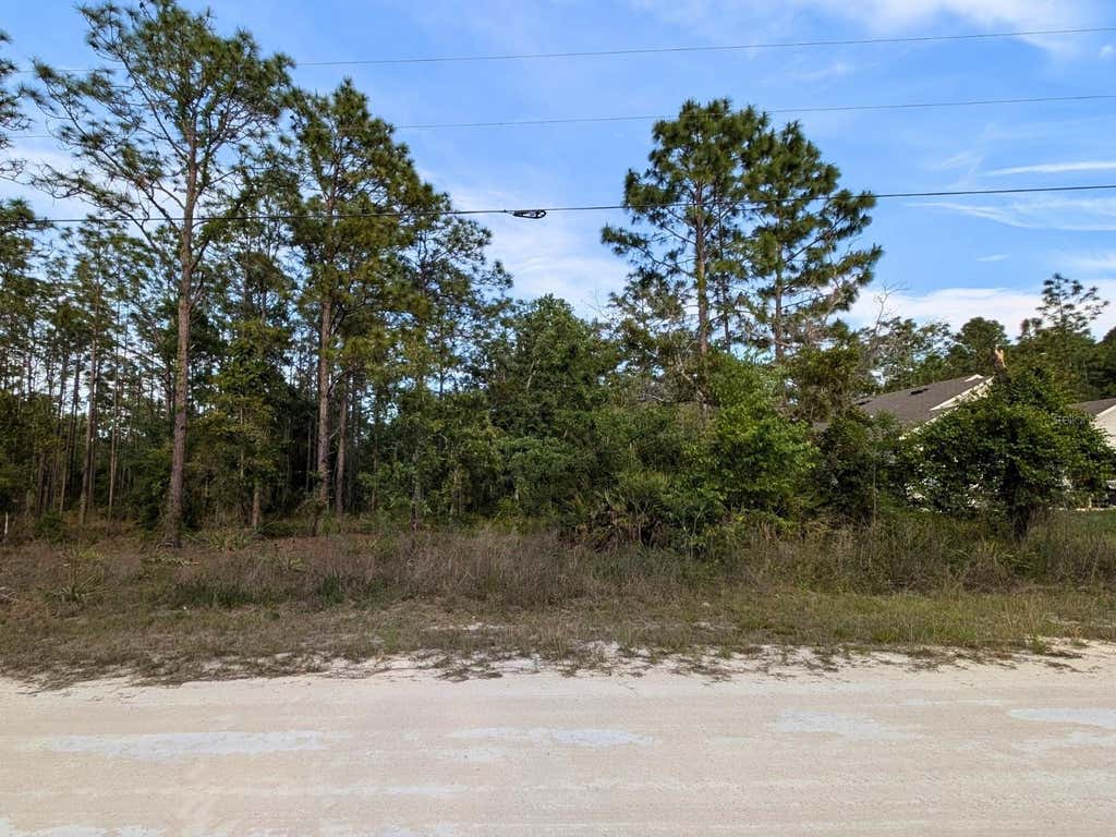 Photo of 15252 Coot Road, Brooksville, FL 34614 (MLS # TB8473085)