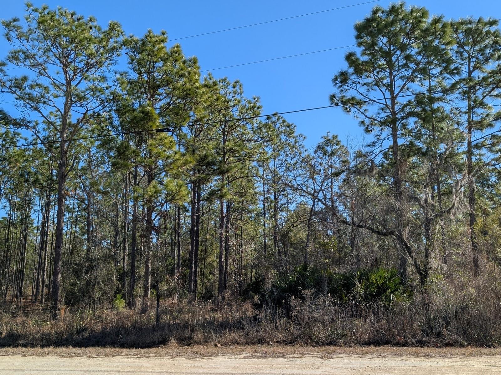 ROYAL HIGHLANDS - Land