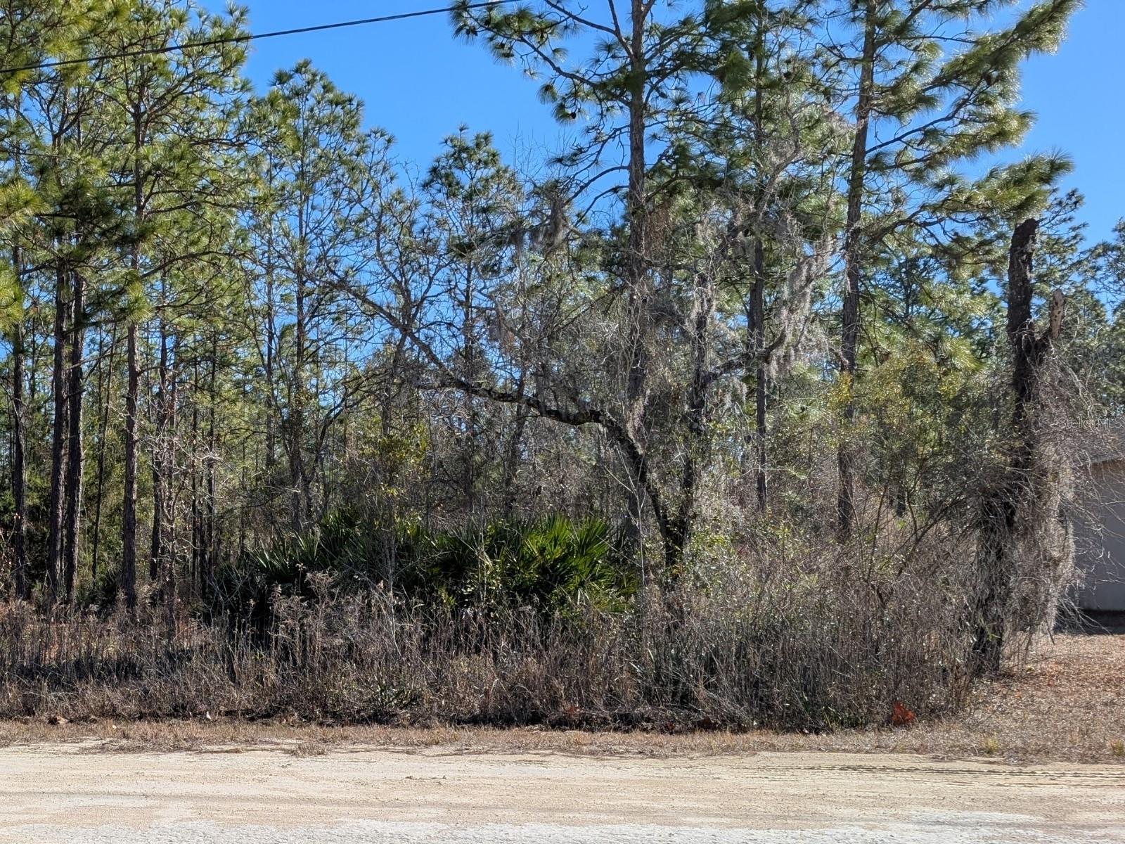 ROYAL HIGHLANDS - Land