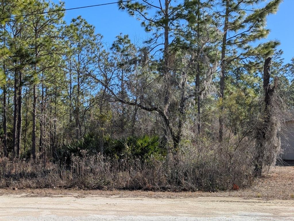 Photo of 15252 Coot Road, Brooksville, FL 34614 (MLS # TB8473085)