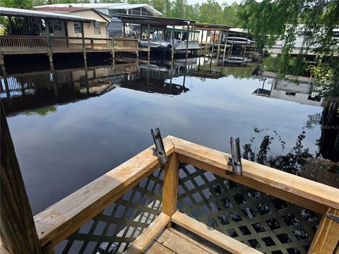 Photo of 119 Walt Lane, Satsuma, FL 32189 (MLS # OM698462)