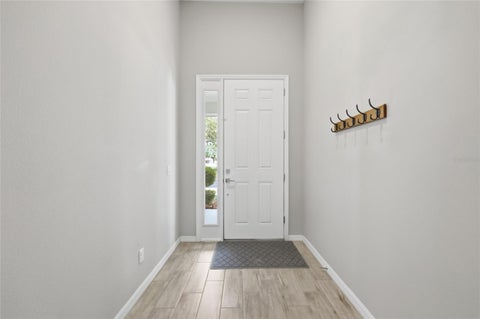2560 Grasmere View Parkway S, Kissimmee, FL 34746