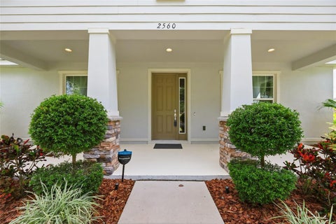 2560 Grasmere View Parkway S, Kissimmee, FL 34746