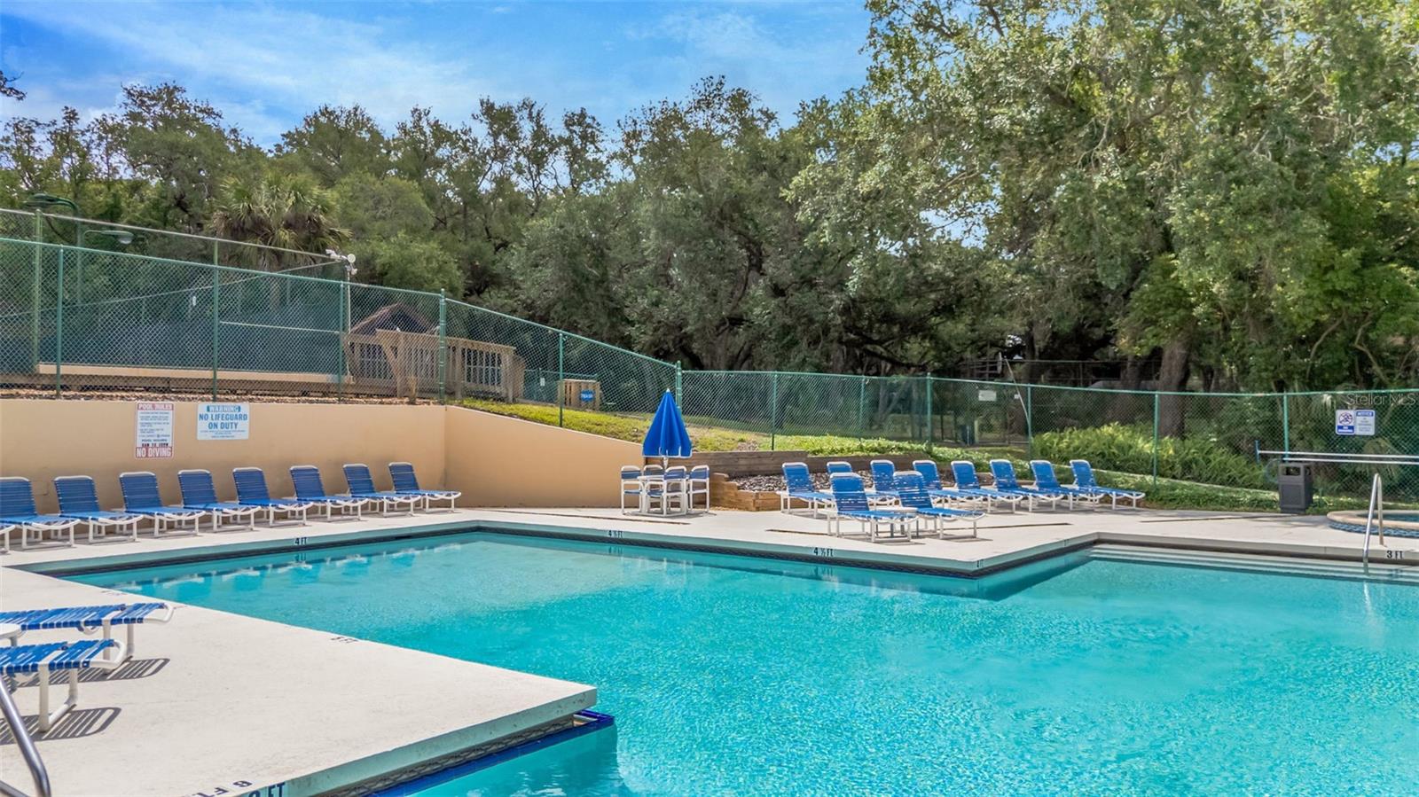 WEDGE WOOD OF PALM HARBOR - Residential