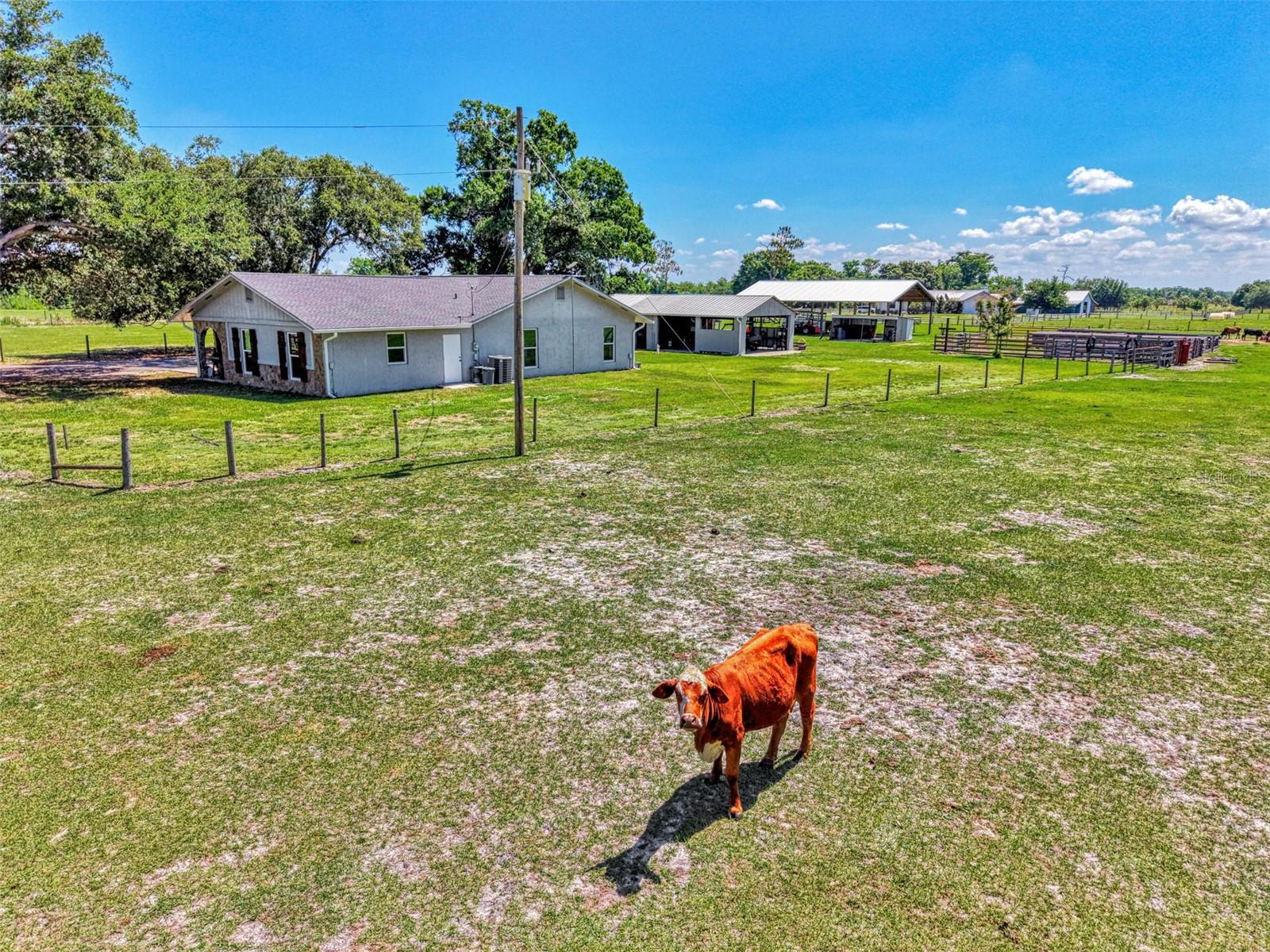MINOR SEC 10 39 23 A/K - Residential