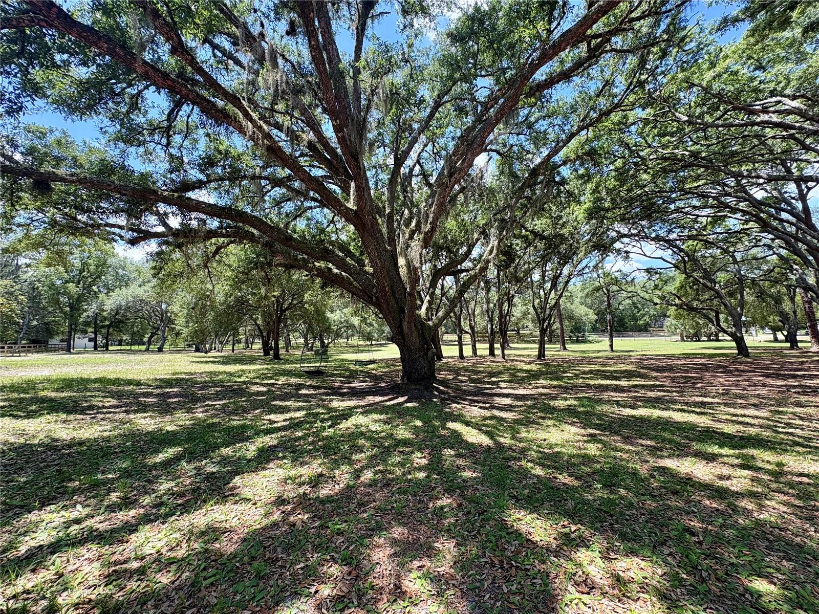 390 FOOTHILL FARMS ROAD