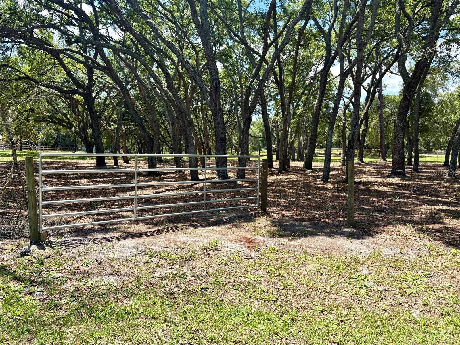 390 FOOTHILL FARMS ROAD