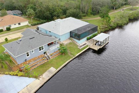 A home in PALM COAST