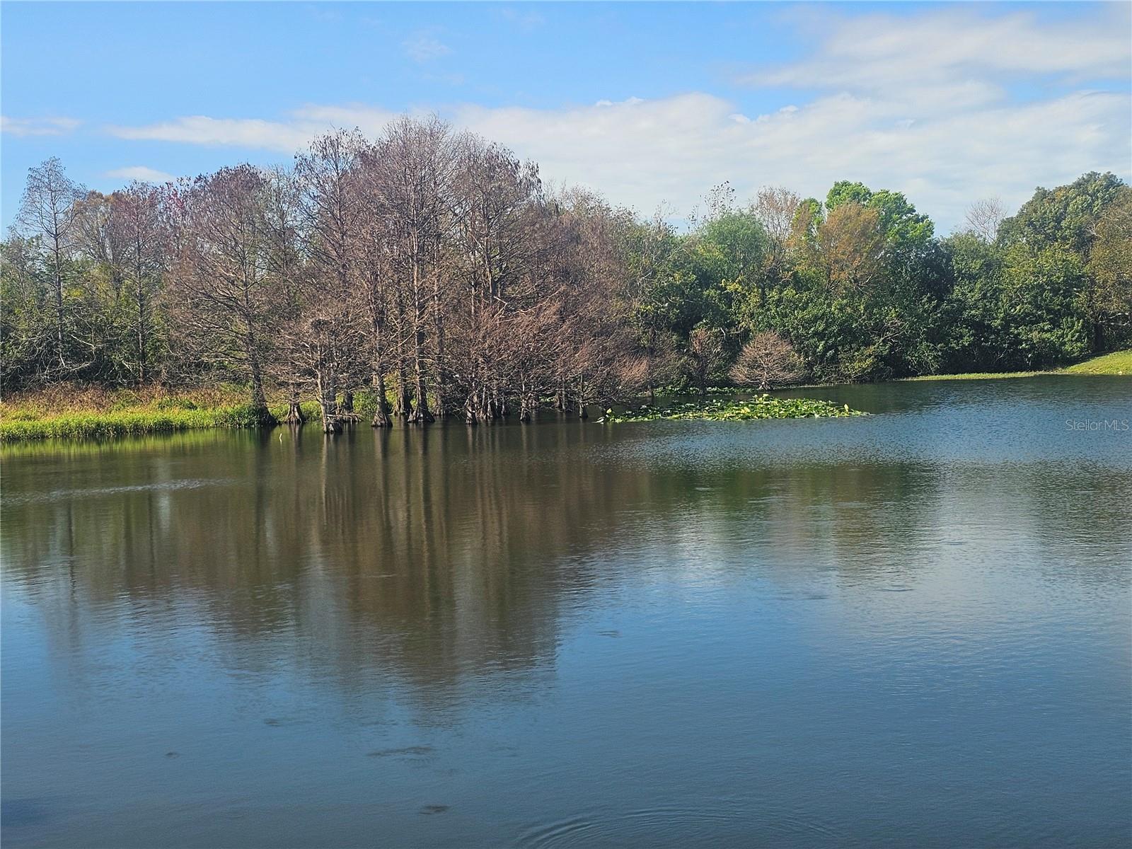 GULL-AIRE VILLAGE - Residential