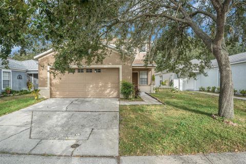 10438 BLACKMORE DRIVE TAMPA FL 33647