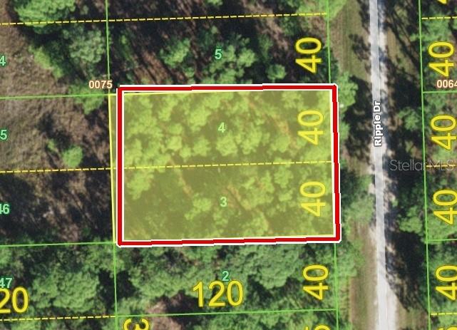 Photo of 12353 Ripple Drive, Punta Gorda, FL 33955 (MLS # A4704682)