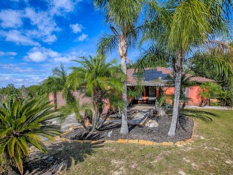 Photo of 14906 Windy Mount Circle, Clermont, FL 34711 (MLS # G5105755)