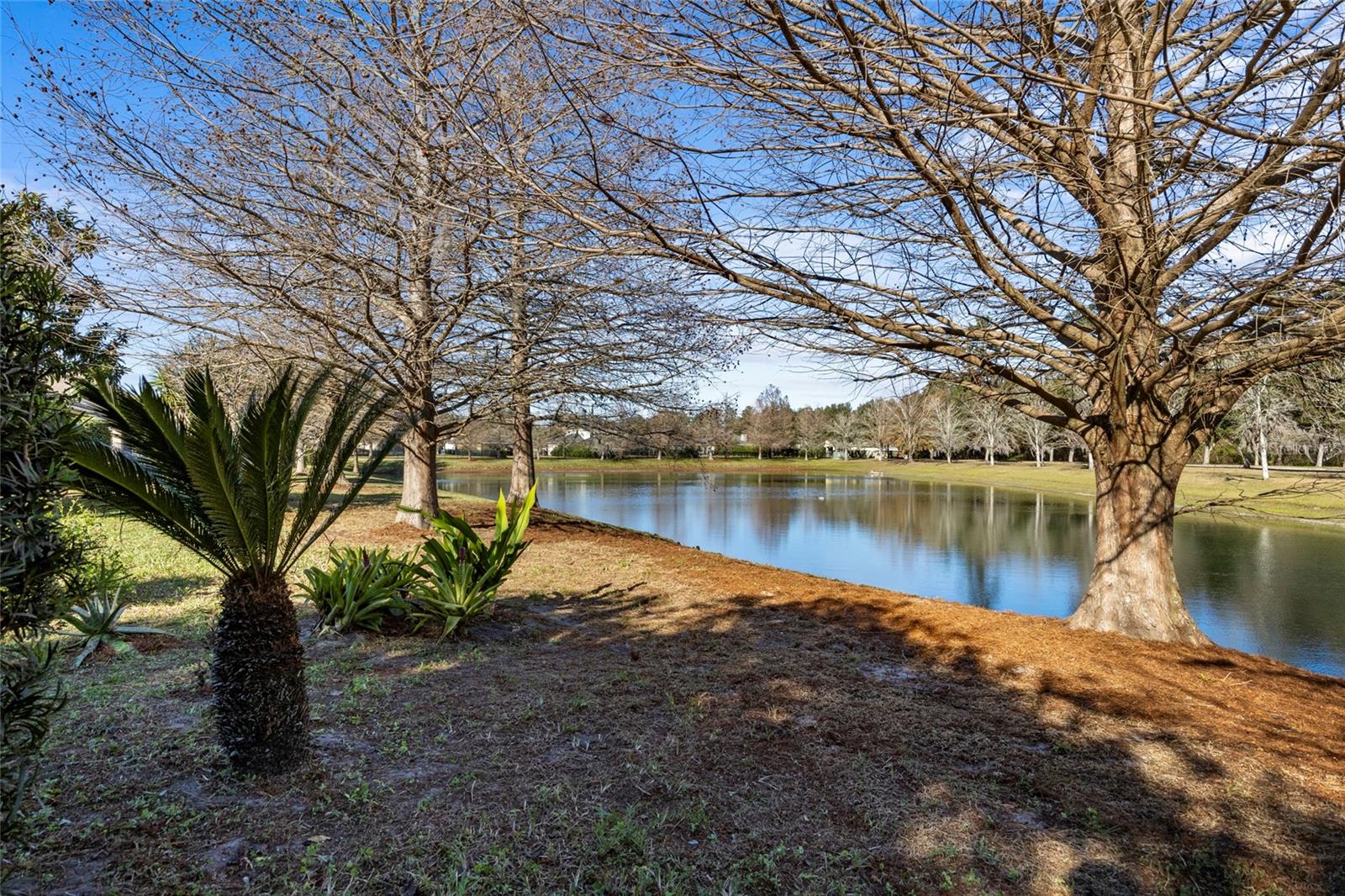 WESCHESTER CLUSTER PH 1 - Residential