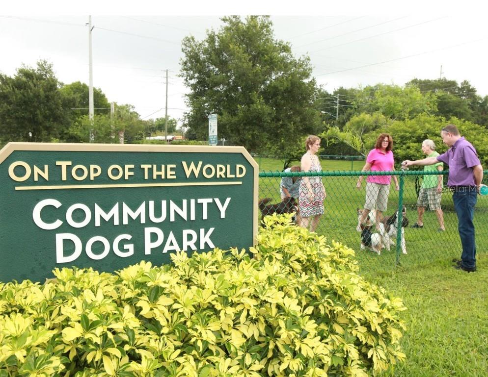 ON TOP OF THE WORLD - Residential