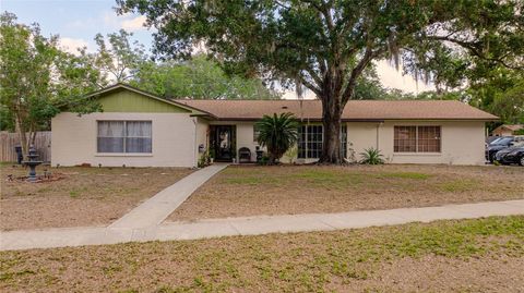 502 DEWOLF ROAD BRANDON FL 33511
