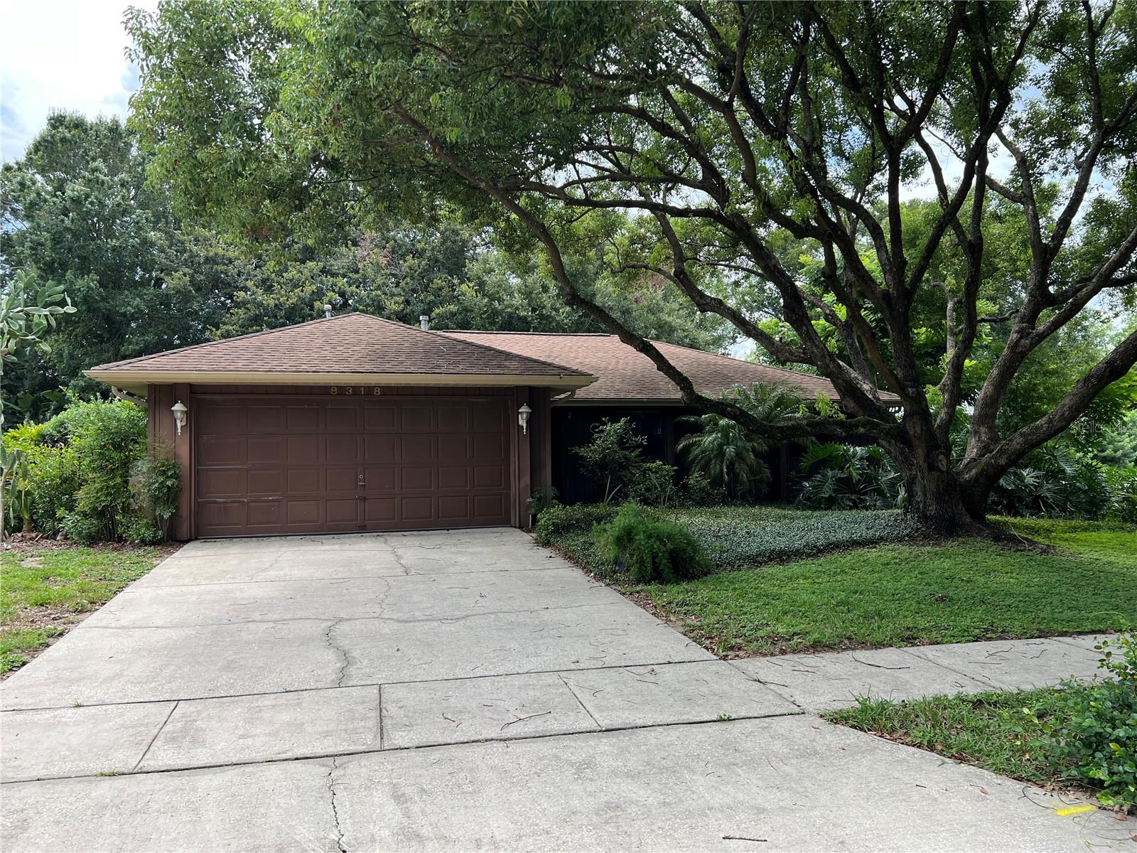 A+ Curb Area! Clubhouse Estates is located in the popular Dr. Phillips community. This home has a beautiful exterior with carpet in the living areas and bedrooms. All interiors have been freshly painted in neutral tones and doors have been freshly painted. This home has a family room, a dining room, and a kitchen with an eating area, three spacious bedrooms, the master has a walk-in closet and a private bath, and a very large yard. New roof installed in 2024, water heater installed on March 15, 2015, A/C installed on September 15, 2022, and A/C ducts installed on September 20, 2023.
Located in a quiet Cul-De-Sac cul-de-sac. Very large private back lawn, only 5 minutes from "Restaurant Row", walking distance to the YMCA, close to Sand Lake shops/restaurants, great location!
If the renter wants the owner to mow the lawn, the price will be $2900/month. If the renter mows the lawn themselves and sends a photo of the front and both sides of the yard to the landlord every two weeks, the price will be $2800. The tenant's credit score must be higher than 650, no pets, and no smoking.
The courtyard wall has been high pressure washed. Since it is not possible to upload photos at the moment, more photos will be updated and uploaded later.