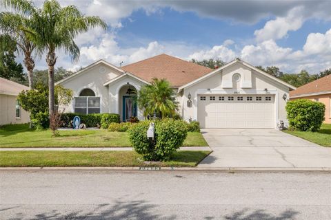 A home in WESLEY CHAPEL