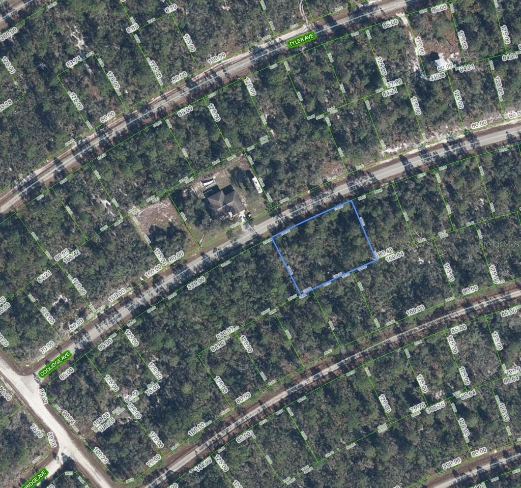 Photo of 3122 Coolidge Avenue, Lake Placid, FL 33852 (MLS # TB8505065)