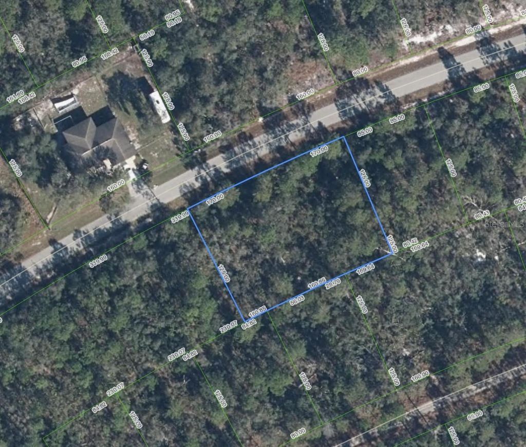 Photo of 3122 Coolidge Avenue, Lake Placid, FL 33852 (MLS # TB8505065)