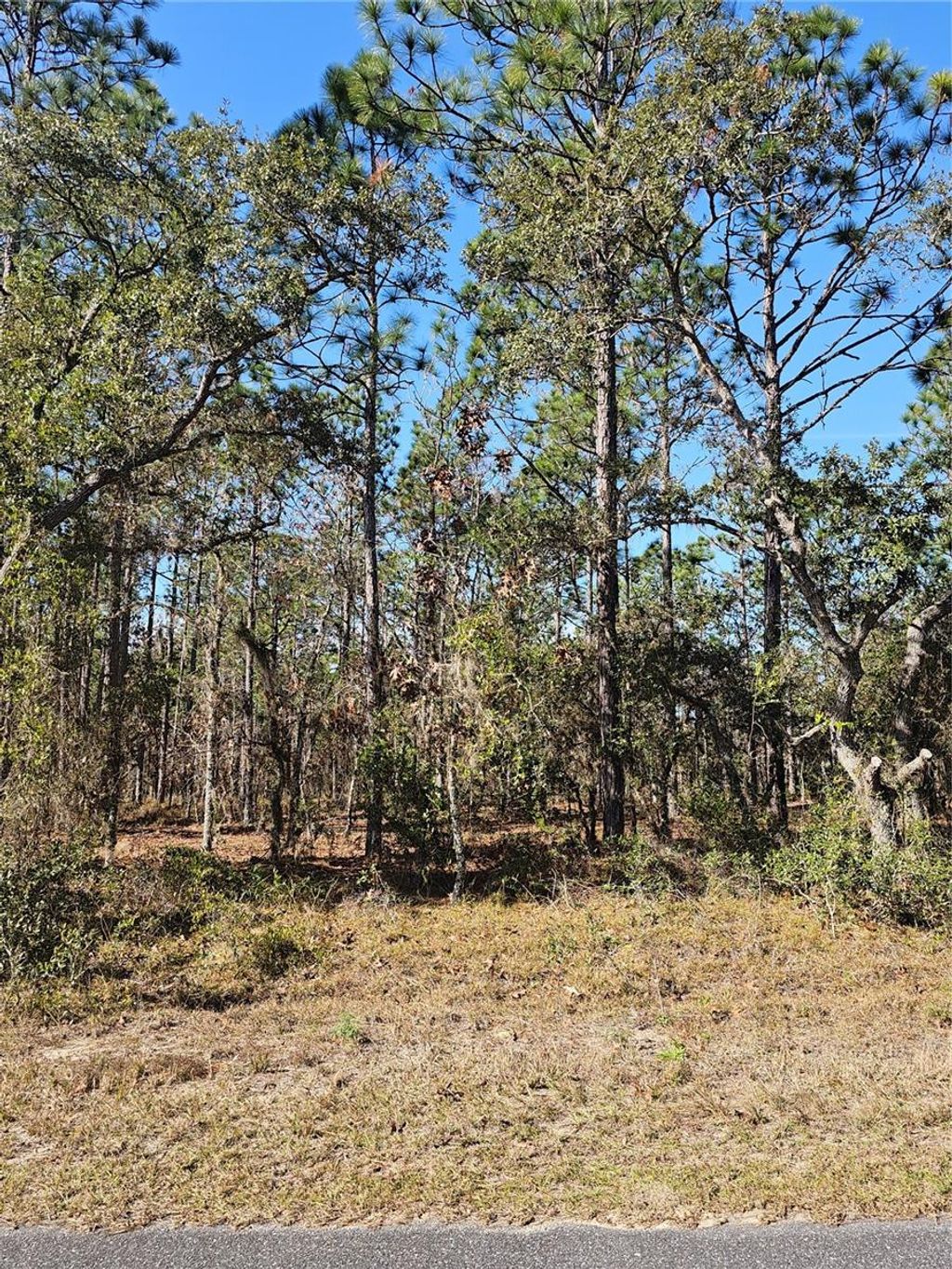 Photo of Tbd SE 136th Terrace, Dunnellon, FL 34431 (MLS # OM715683)