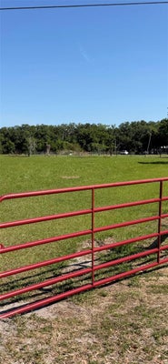 SYDNEY RD, DOVER, FL 33527 - Image 6038ced72c287c80fe1144a1c4b6bac6/1194823804