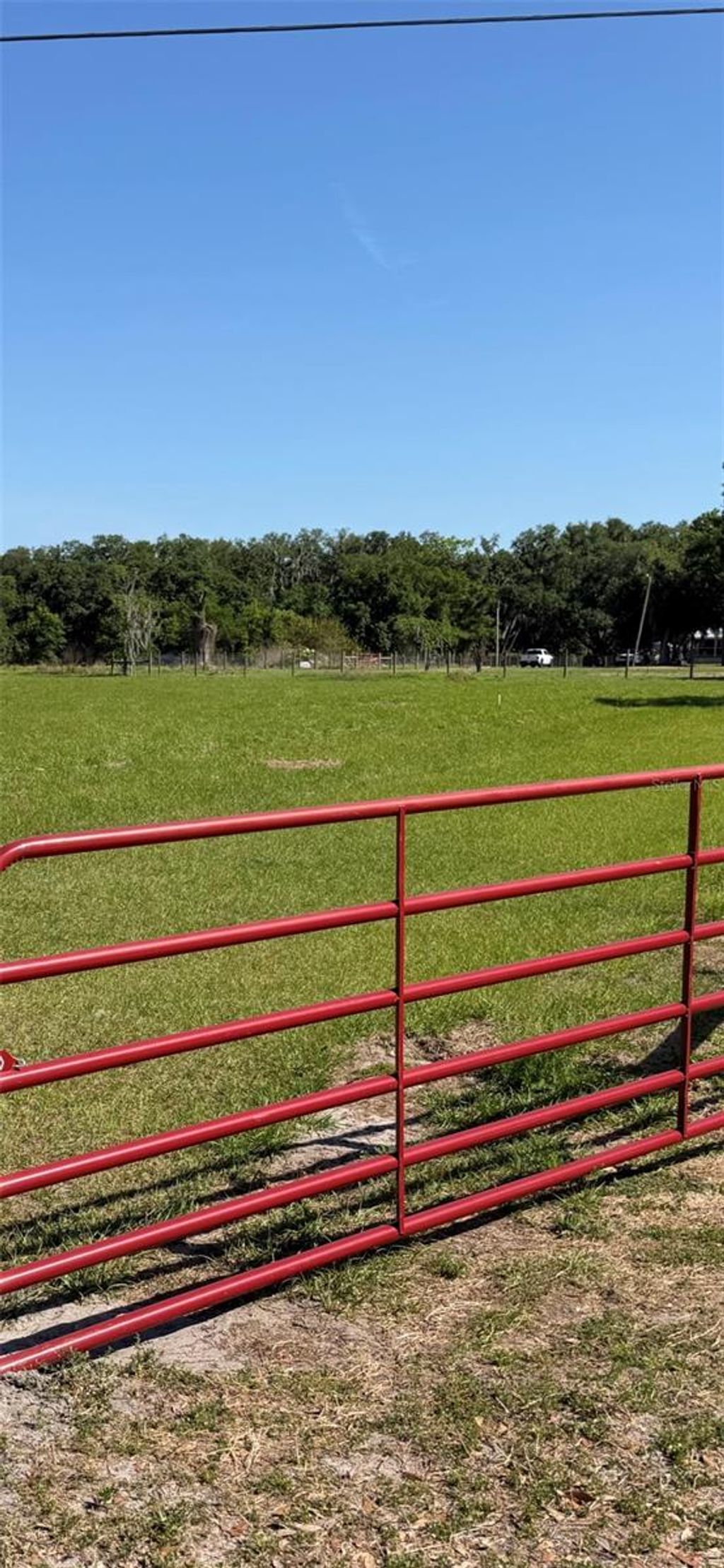 Photo of Sydney Road, Dover, FL 33527 (MLS # TB8495843)