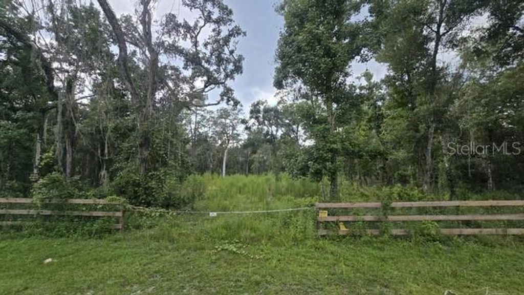Photo of Table Rock Drive, Webster, FL 33597 (MLS # TB8418470)