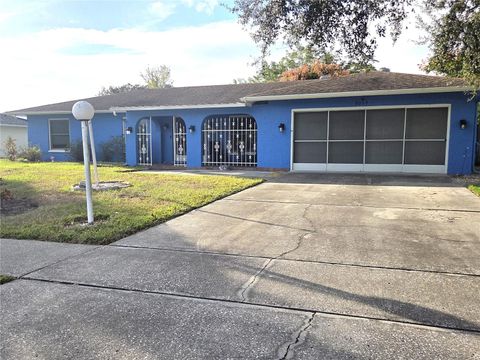 Photo of 4059 Ligonier Road, Spring Hill, FL 34608 (MLS # TB8446431)