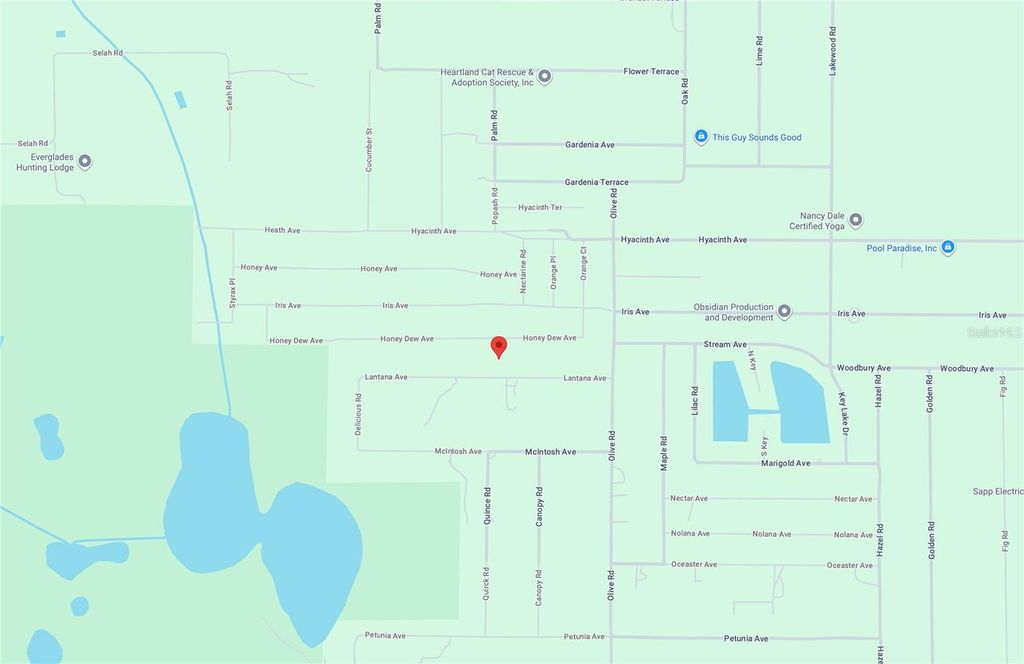 Photo of 2120 Lantana Avenue, Sebring, FL 33875 (MLS # O6356029)