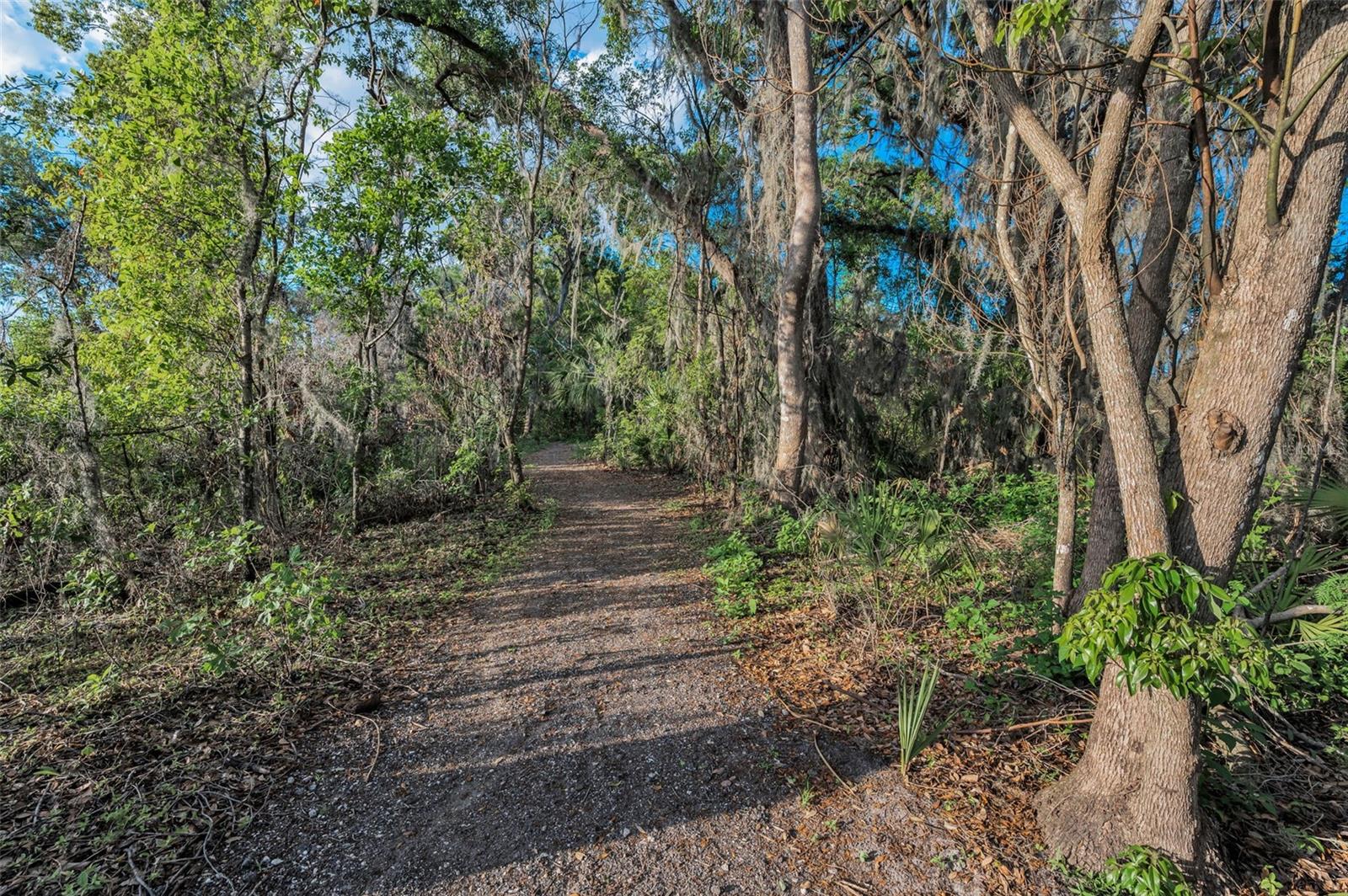 ABBOTT SQUARE PH 2 - Residential