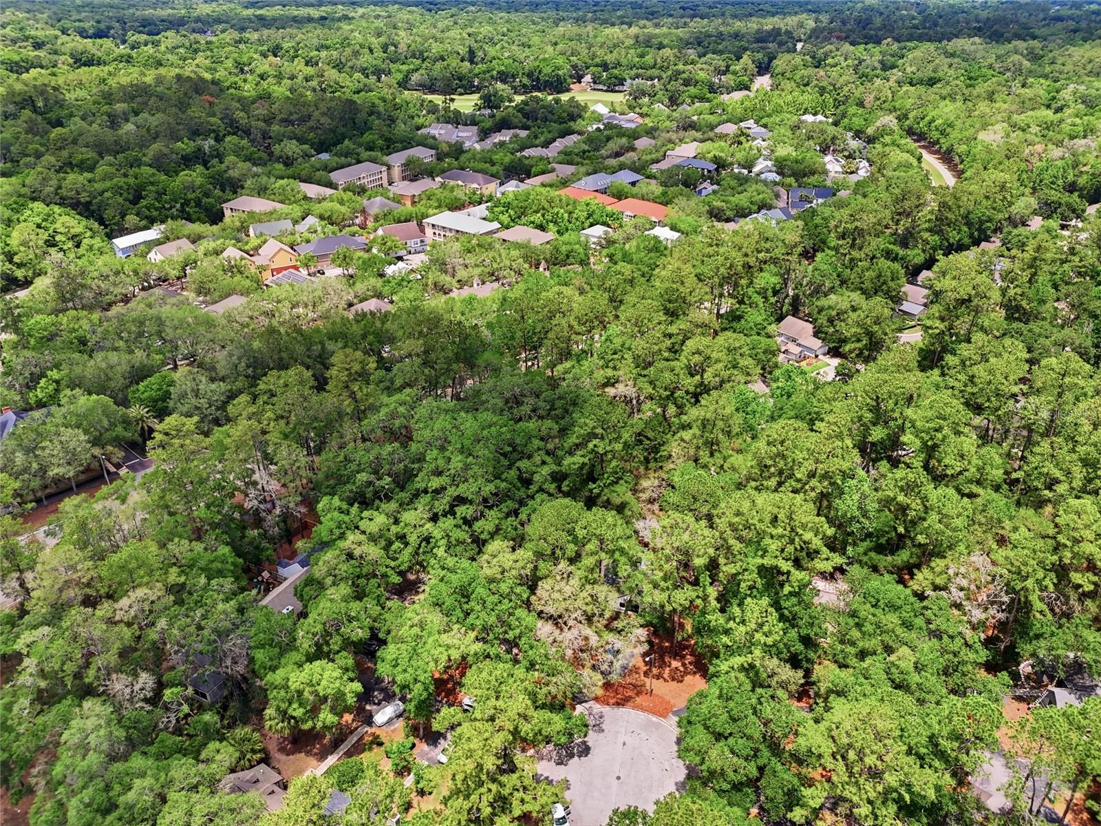 HAILE PLANTATION - Residential