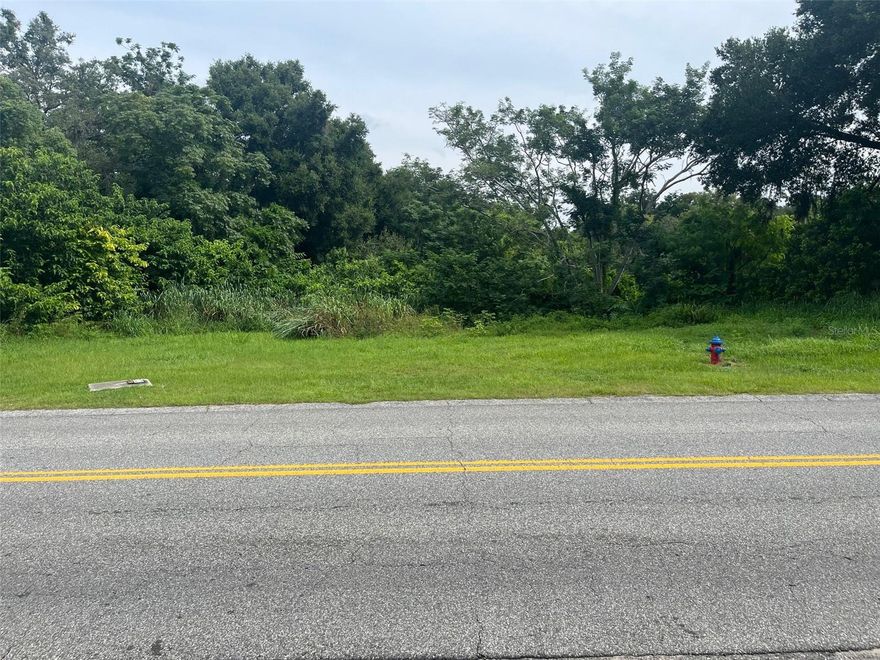 Build Your Vision in Apopka! This .52-acre residential lot on E Cleveland Street offers endless possibilities...whether you're planning a custom dream home or seeking an investment opportunity. With convenient access to SR-429, commuting is a breeze while still enjoying a quiet neighborhood setting. No HOA means more flexibility for your plans. Don't miss this rare opportunity to secure land in one of Central Florida's fastest-growing areas!