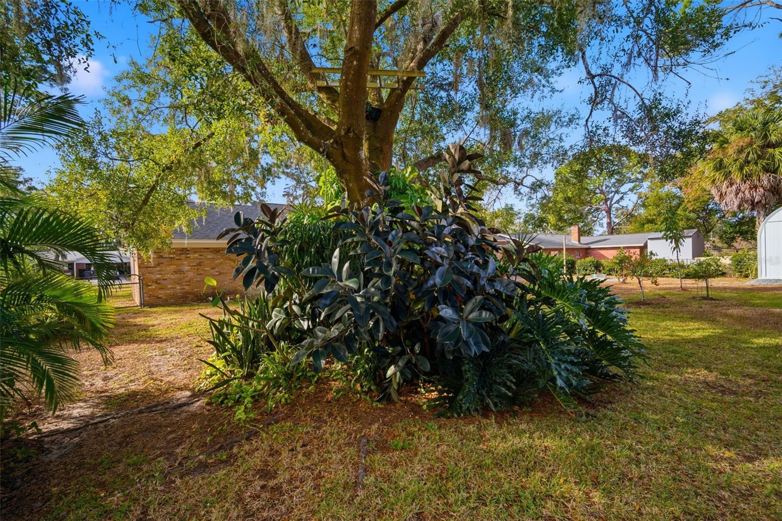 BRANDON HILLS EXT - Residential