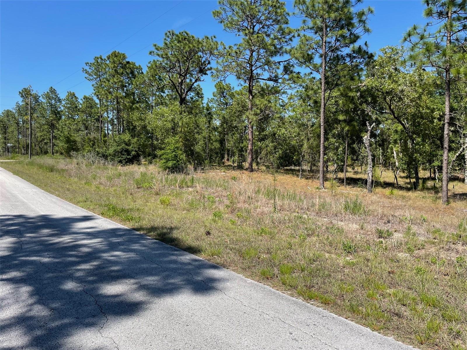 LOT 1 NW MANDRAKE DRIVE