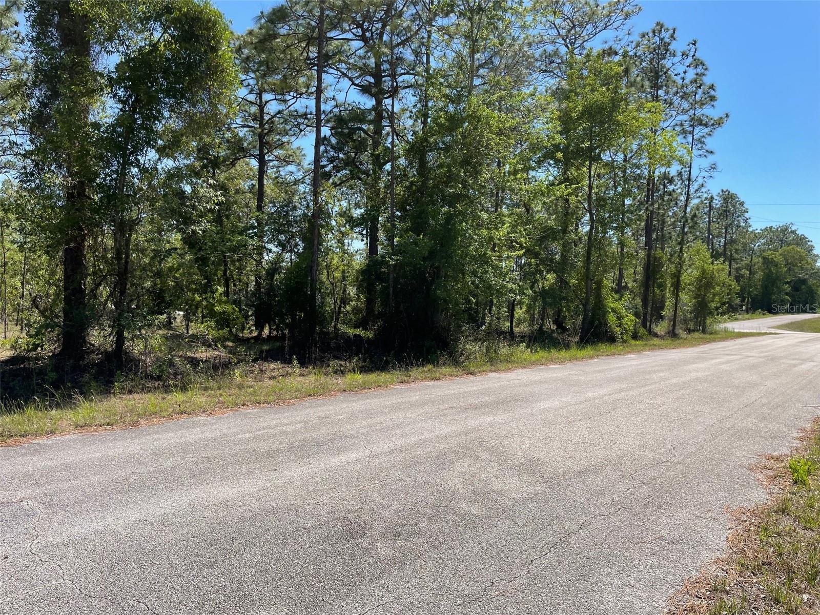 LOT 1 NW MANDRAKE DRIVE