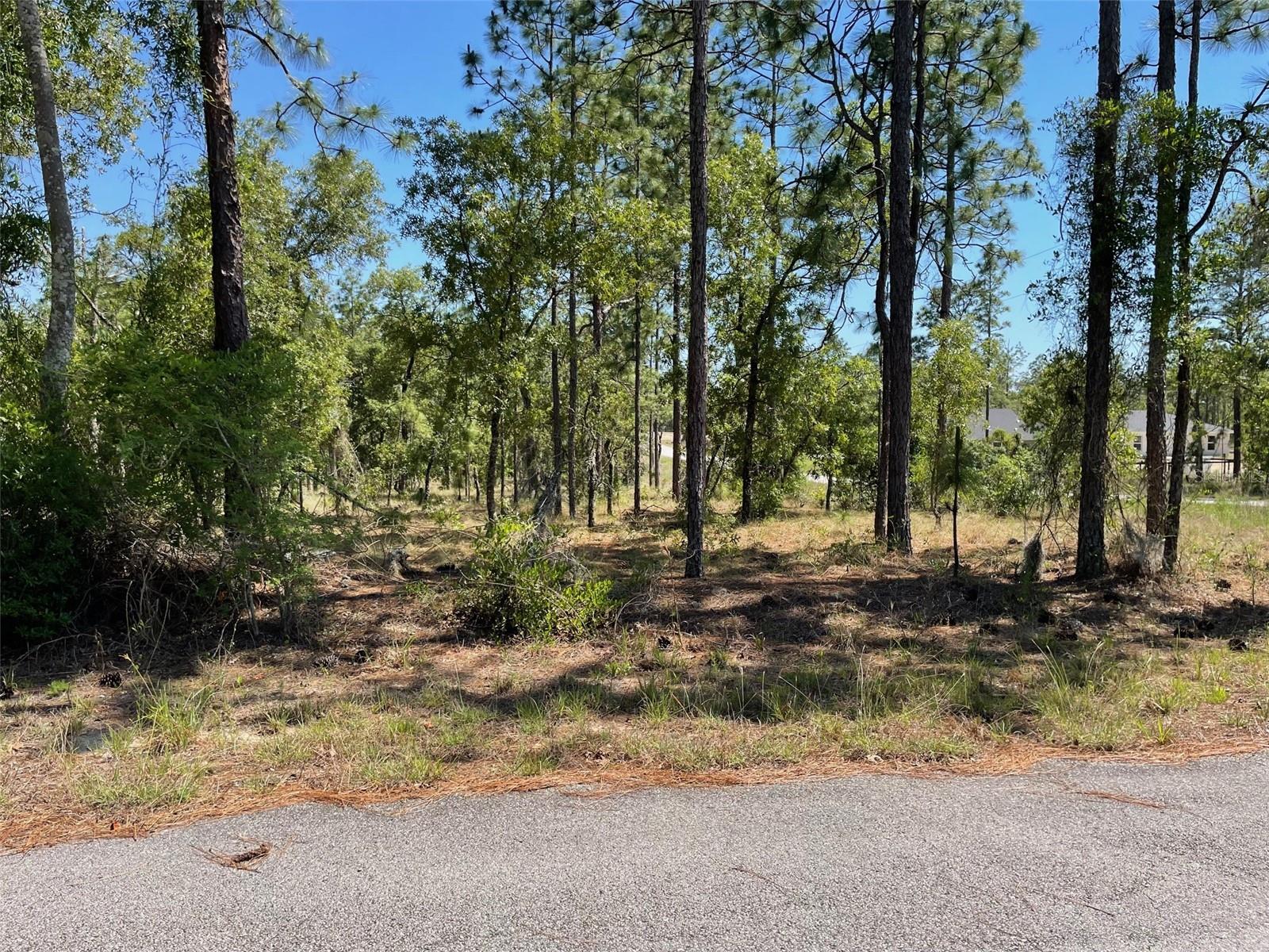 LOT 1 NW MANDRAKE DRIVE